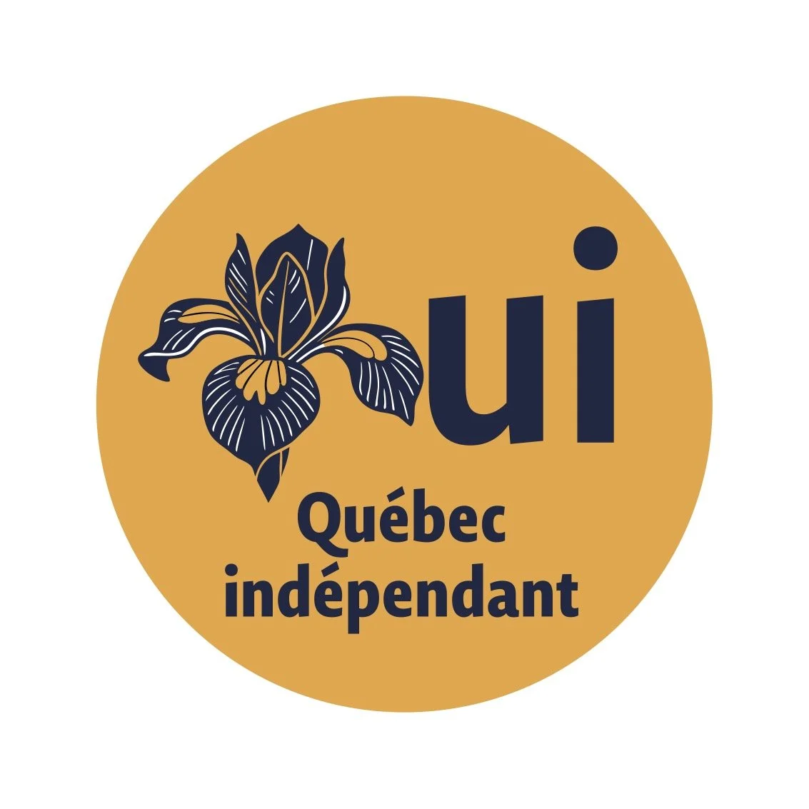 OUI 2026 ronds FIDQ 9.jpg