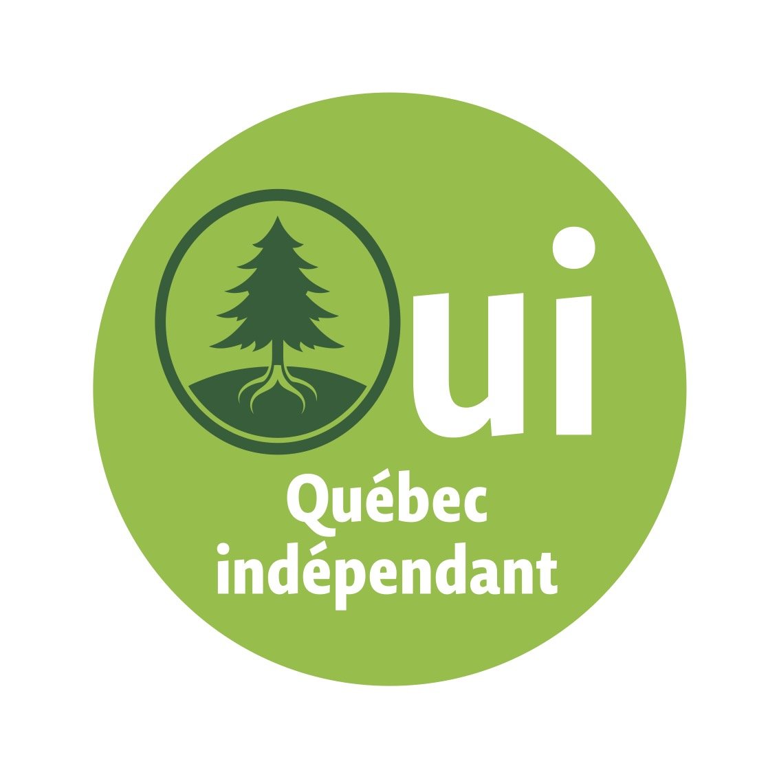 OUI 2026 ronds FIDQ 11.jpg