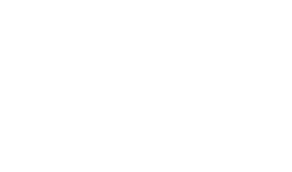 Oyekan_Logo's_dsv.png