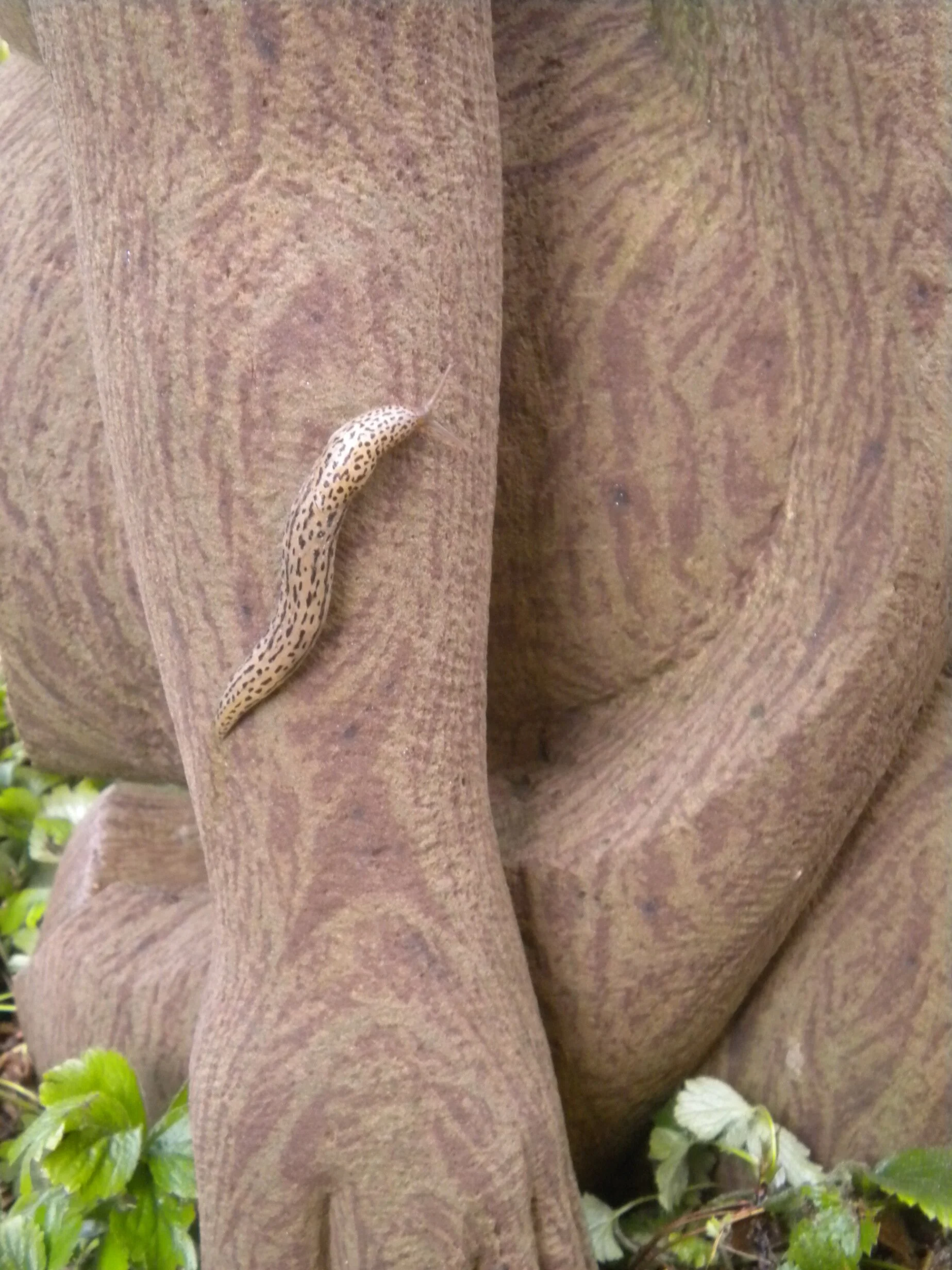 Skulptur Stein Mann und Frau Ansicht 06