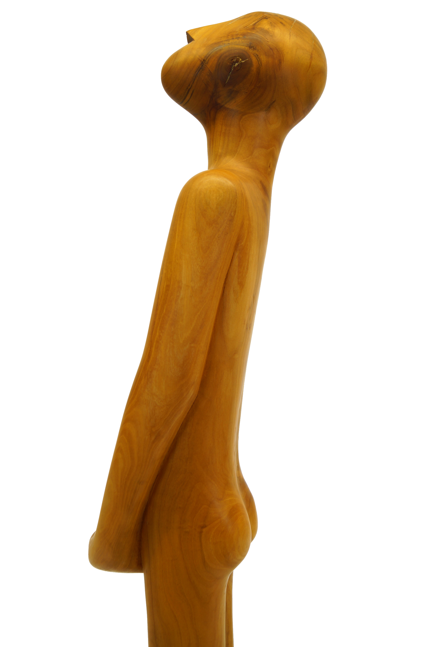 DSC03055_01.png