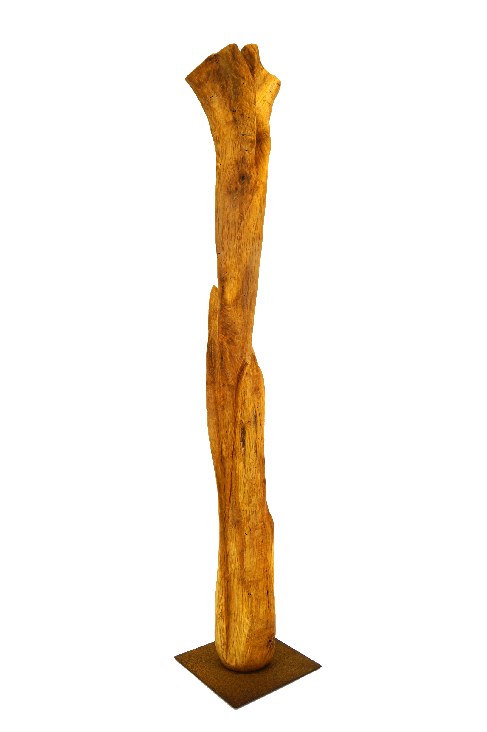 Skulptur Holz Wachstum Ansicht 02