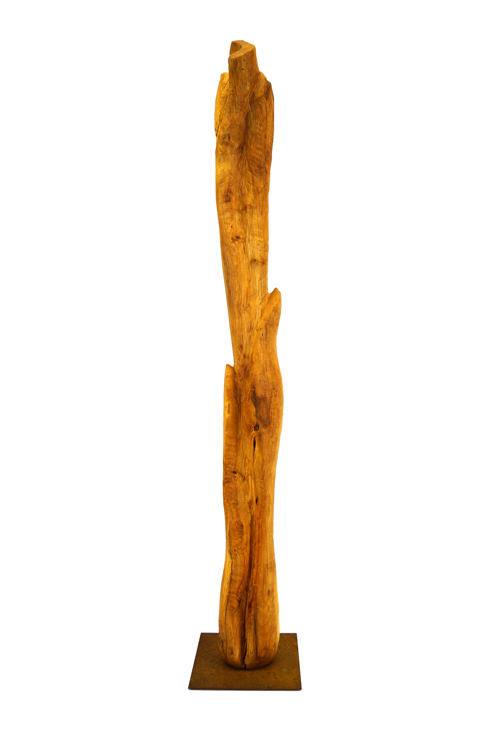 Skulptur Holz Wachstum Ansicht 05