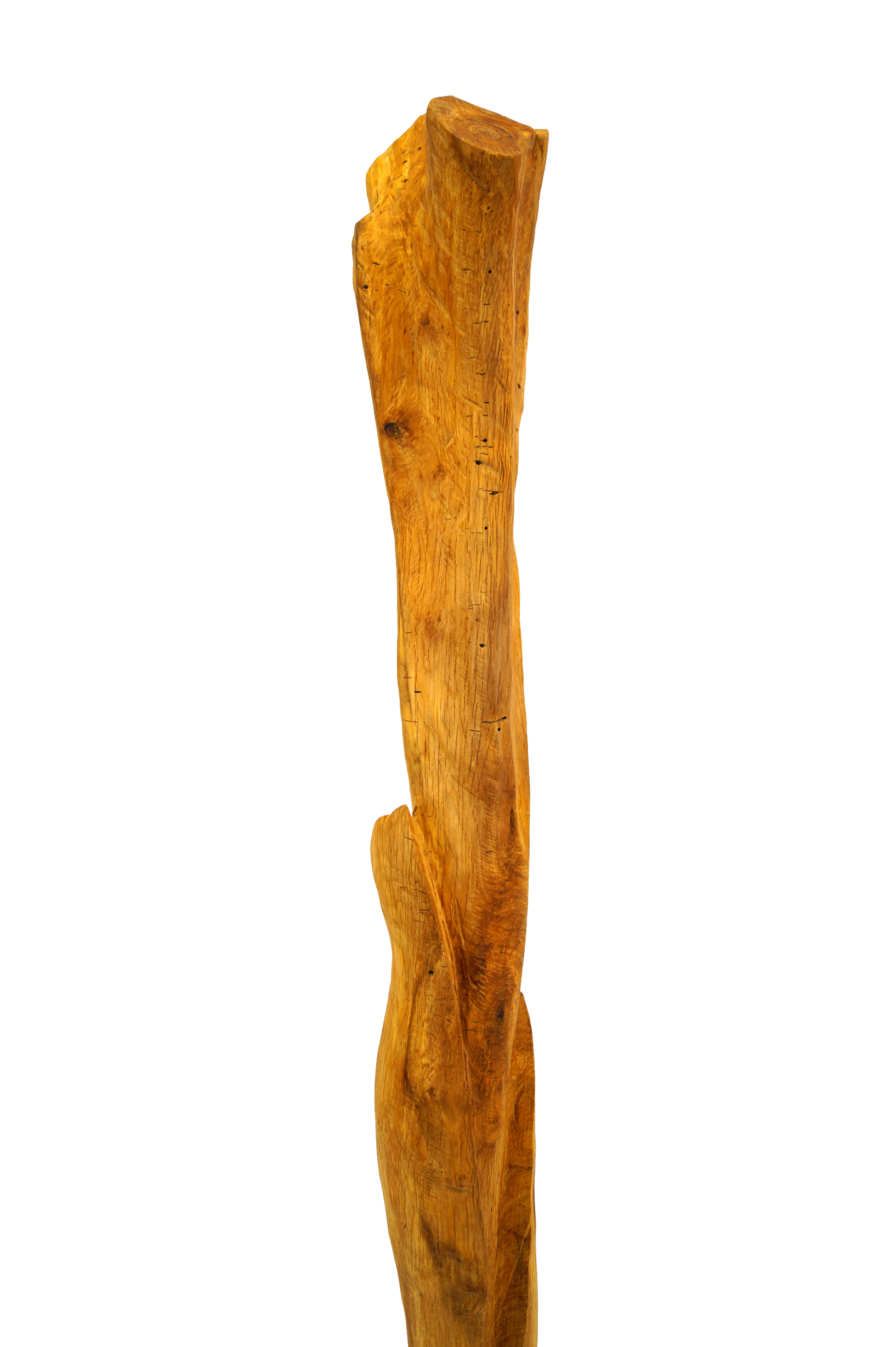 Skulptur Holz Wachstum Ansicht 10