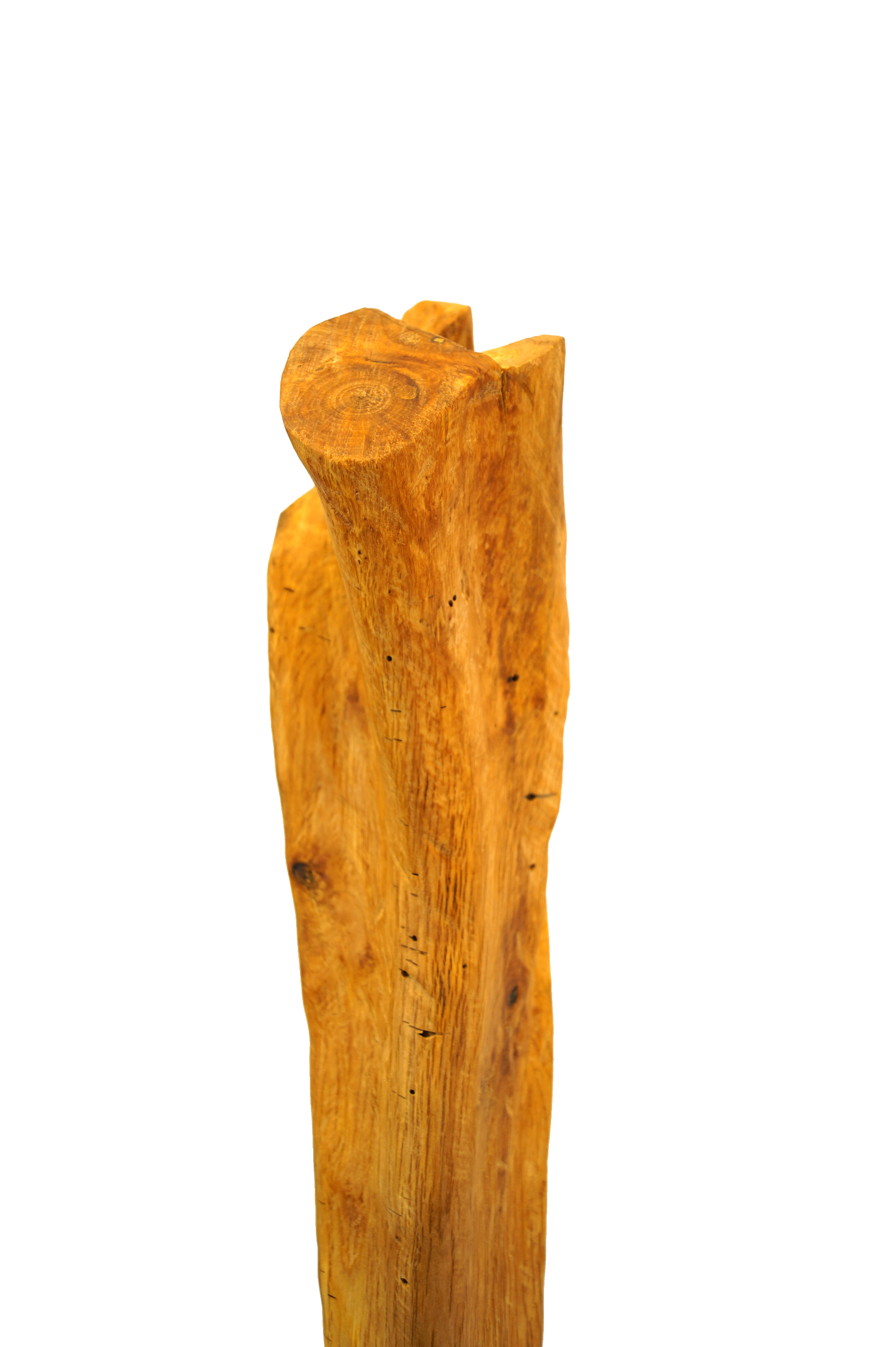 Skulptur Holz Wachstum Ansicht 12