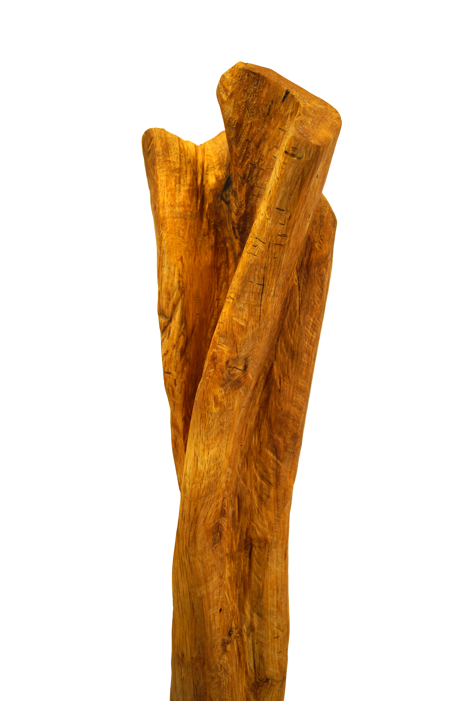 Skulptur Holz Wachstum Ansicht 13