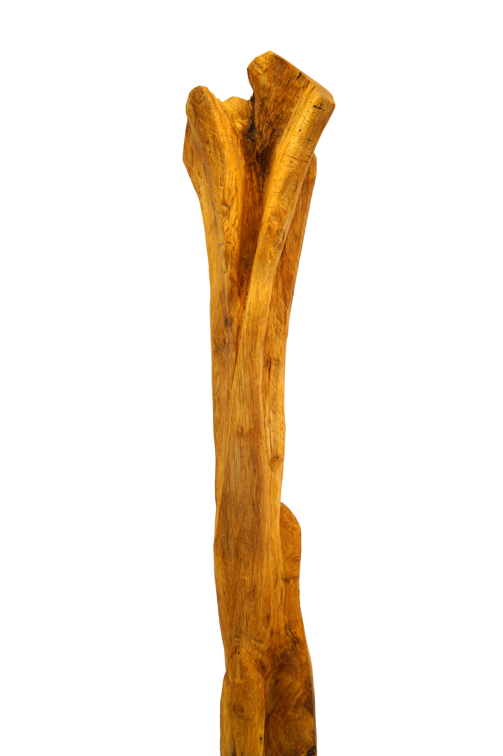 Skulptur Holz Wachstum Ansicht 18