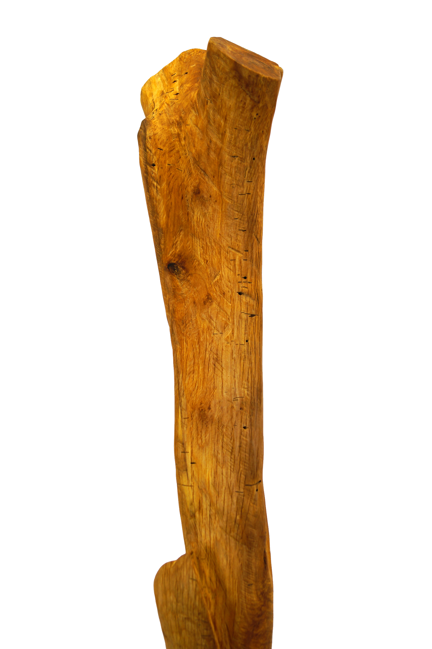 Skulptur Holz Wachstum Ansicht 19