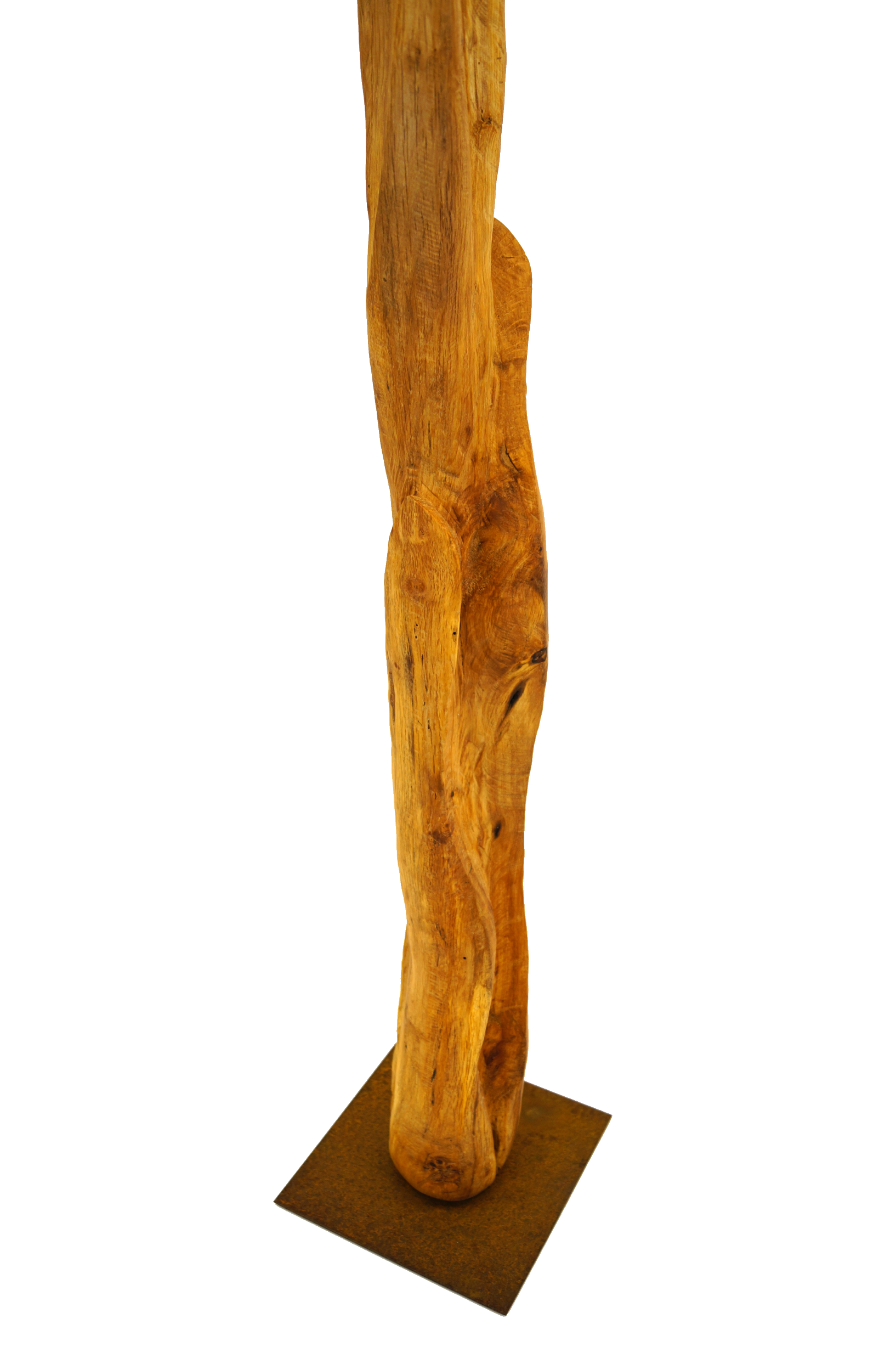Skulptur Holz Wachstum Ansicht 20