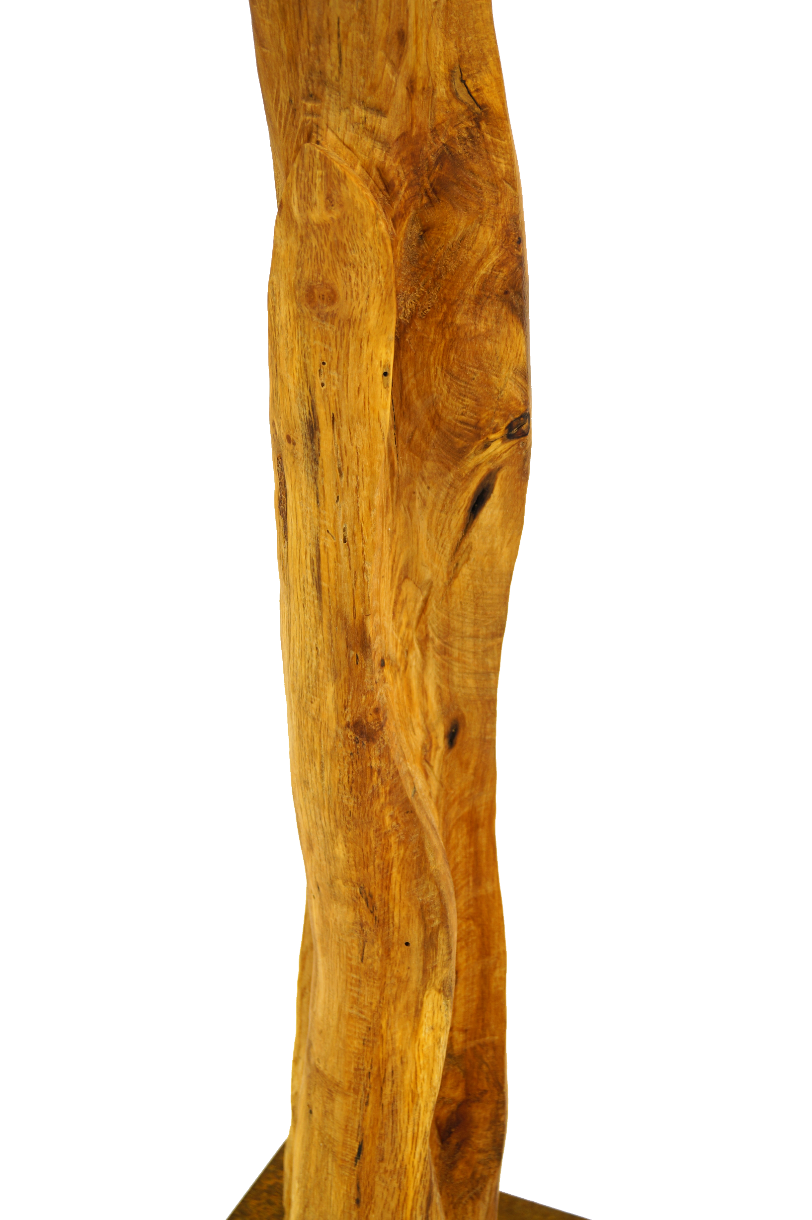 Skulptur Holz Wachstum Ansicht 21