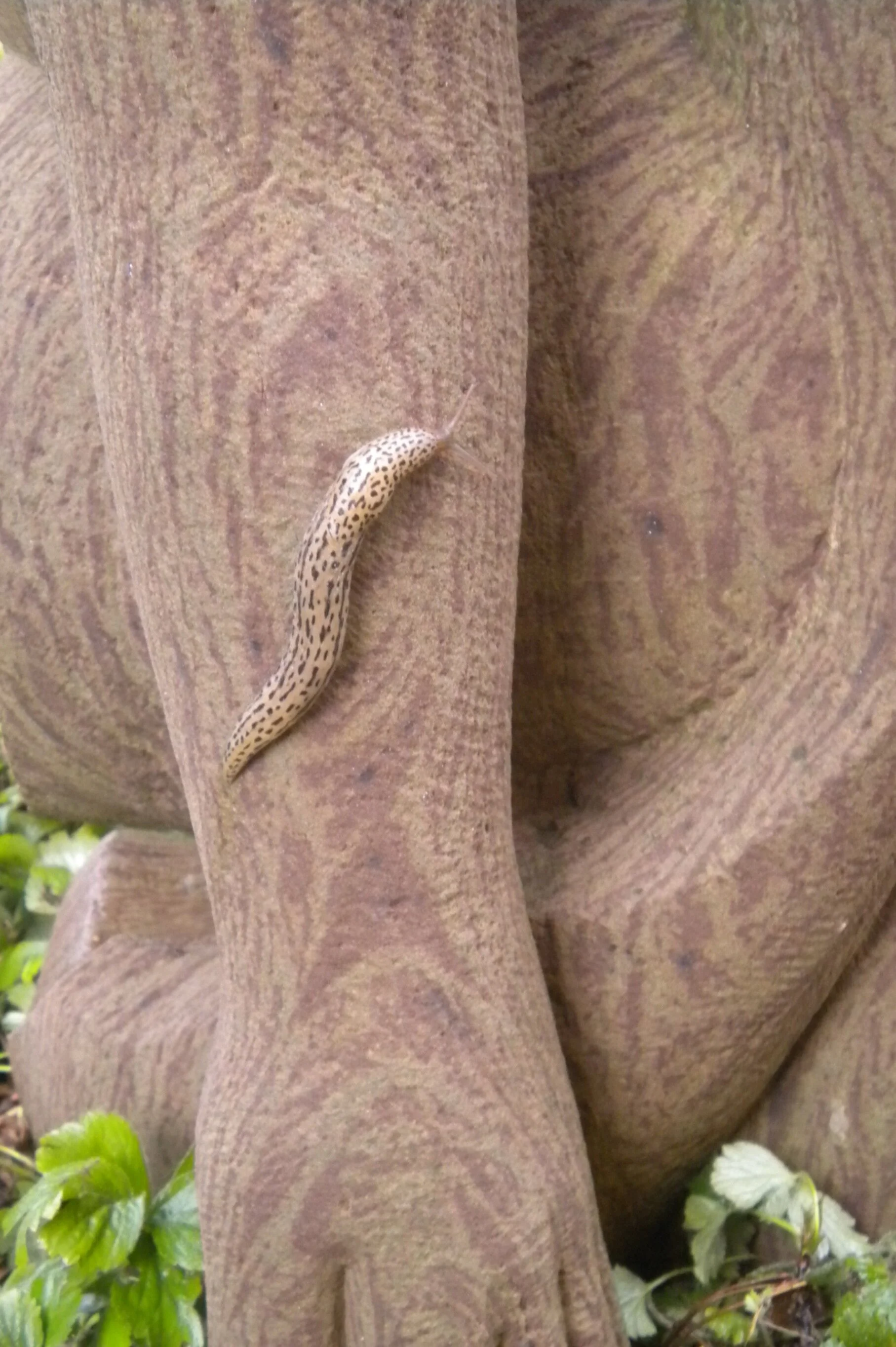 Skulptur Stein Mann und Frau