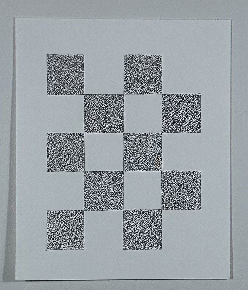 Checkerboard
11" x 14"
ink on Stonehenge paper