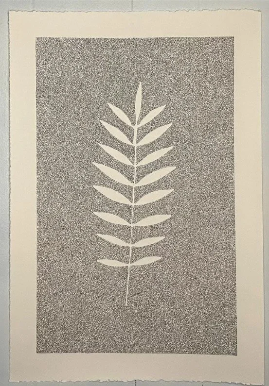 Botanical Three
15" x 22"
ink on cream Stonehenge paper