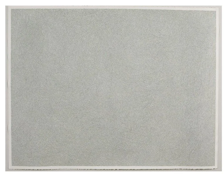 Big Green
Ink on Stonehenge paper
53" x 84"
University at Buffalo Art Galleries:
Anonymous gift, 2021