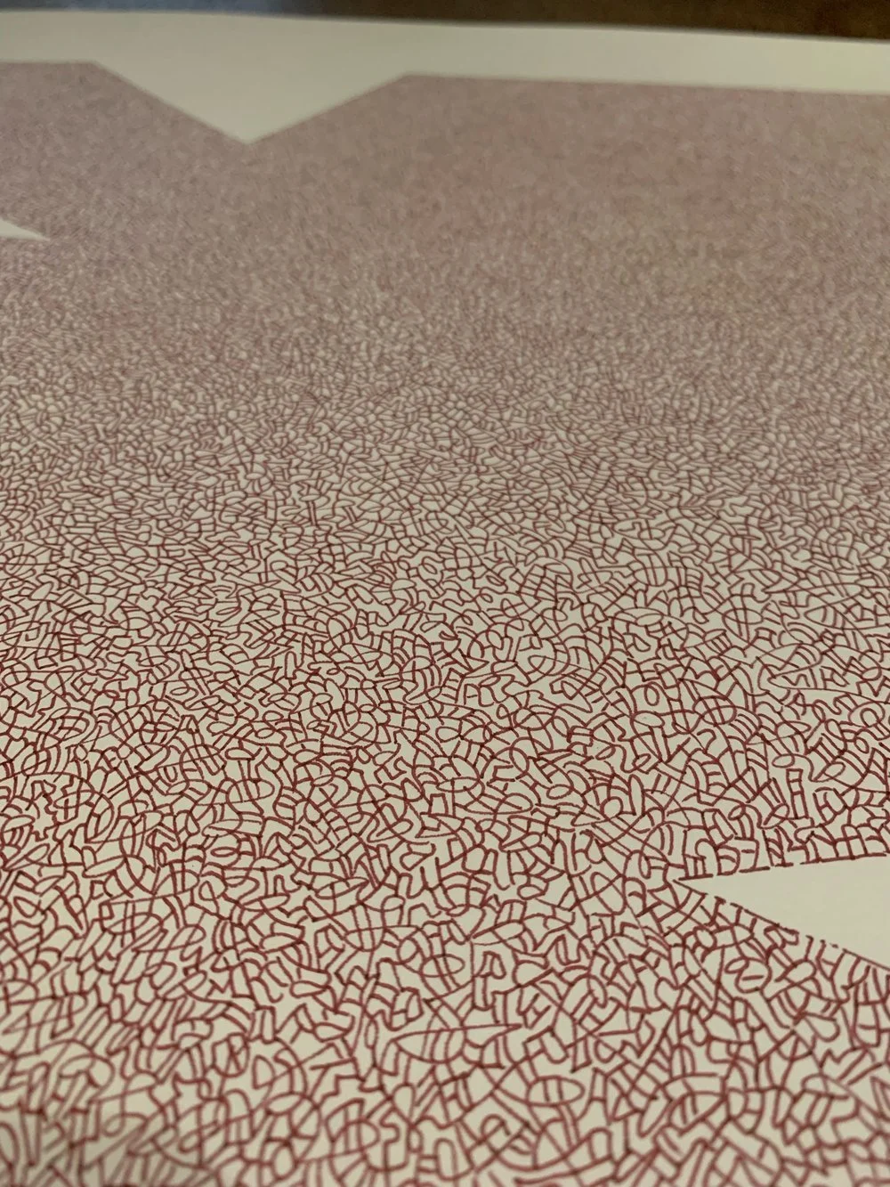 DETAIL ink on paper drawing 2022.jpg