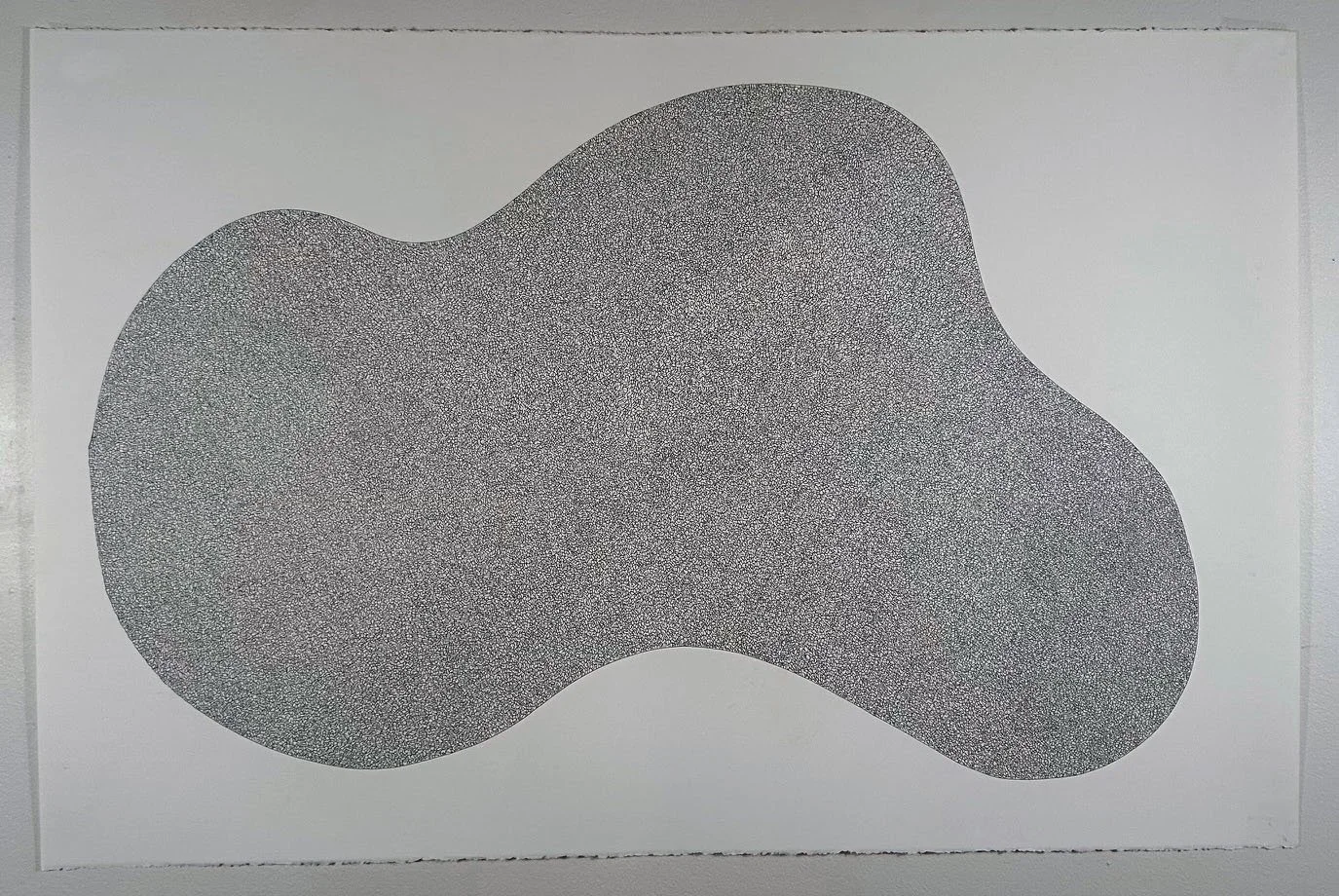 Organic Shape
40" x 26"
ink on Stonehenge paper