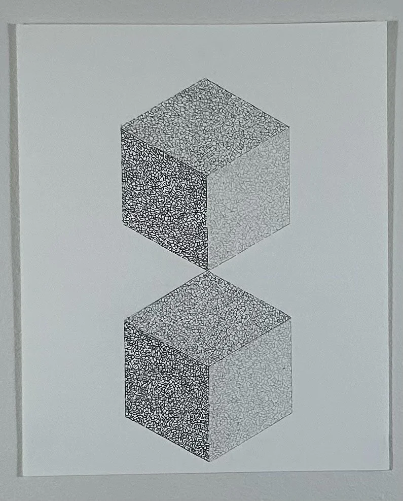 Two Cubes
11" x 13.5" 
ink on Stonehenge paper