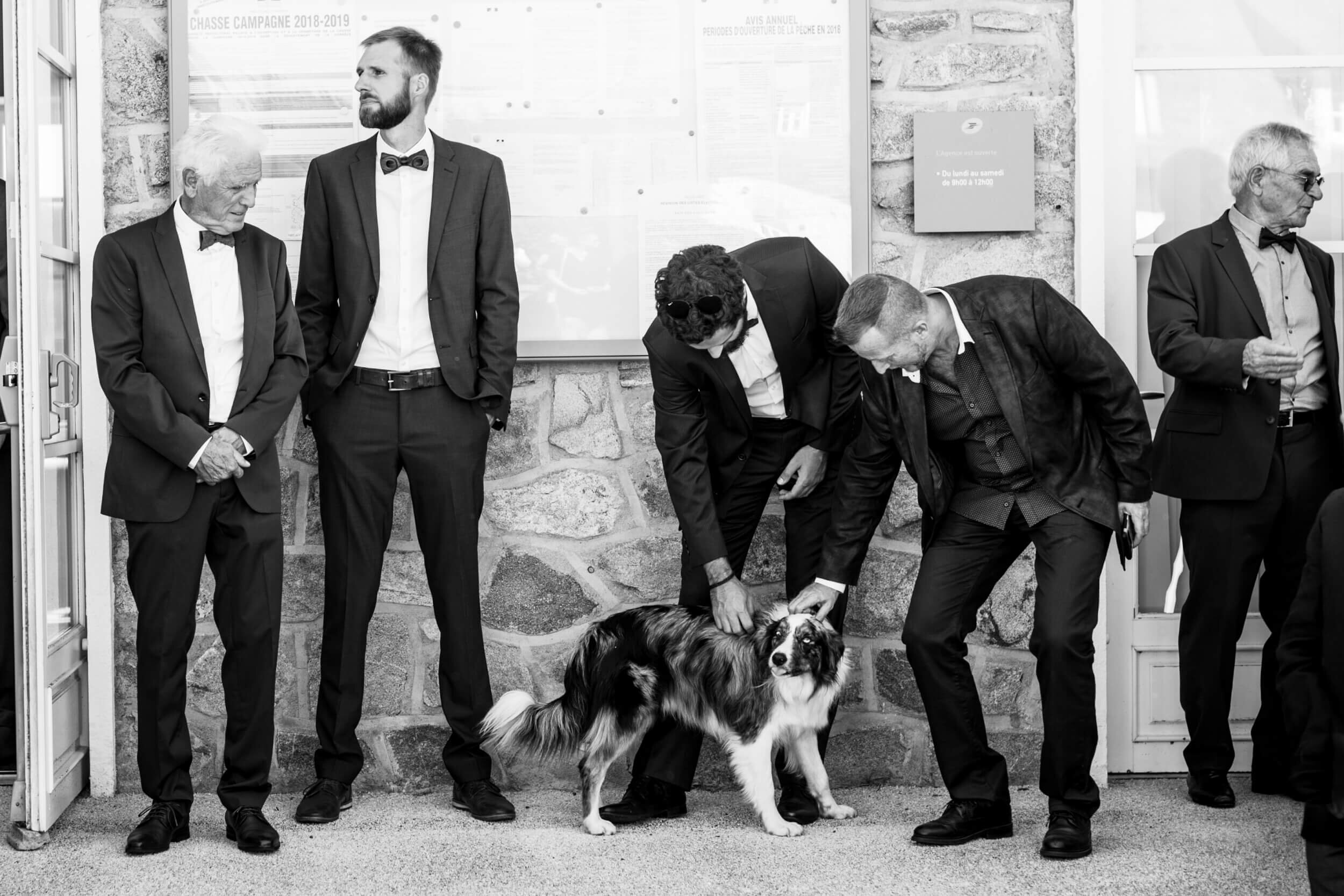 Domaine de La Fage Correze Brive photographe mariage chien wedding photographer
