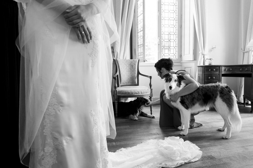 Un chien à son mariage 