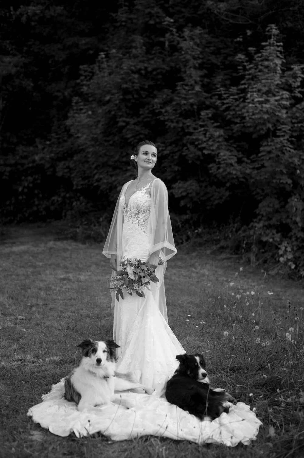 La mariée avec ses chiens