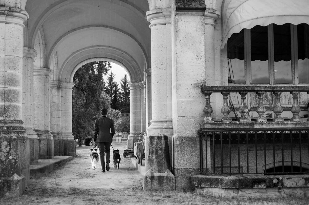 Les border collies devant le château