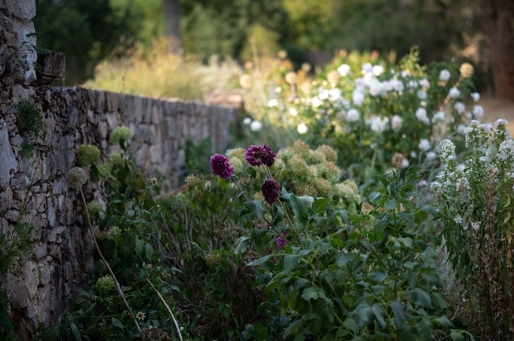 jardin Osmonerie 