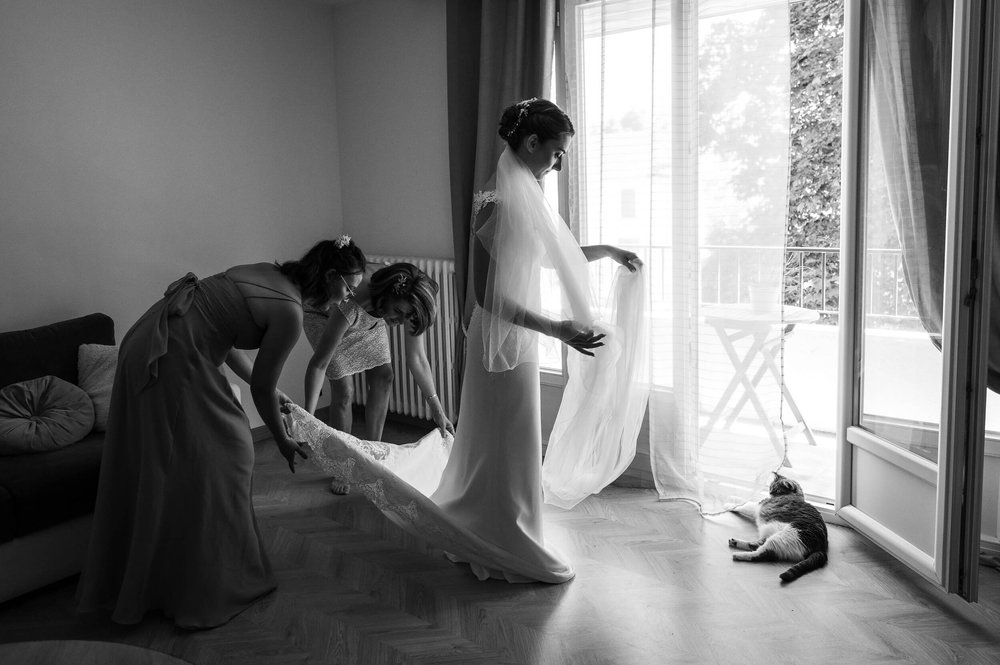 Chien-mariage-chat-photographe-dog-cat-wedding-photographer-11.jpg