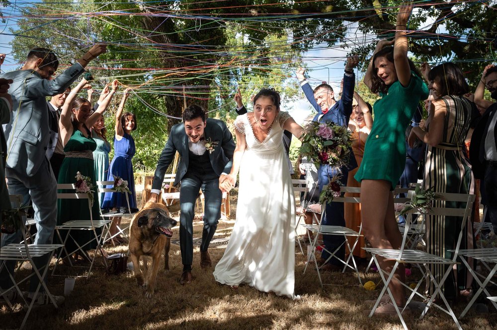 Chien-mariage-chat-photographe-dog-cat-wedding-photographer-14.jpg