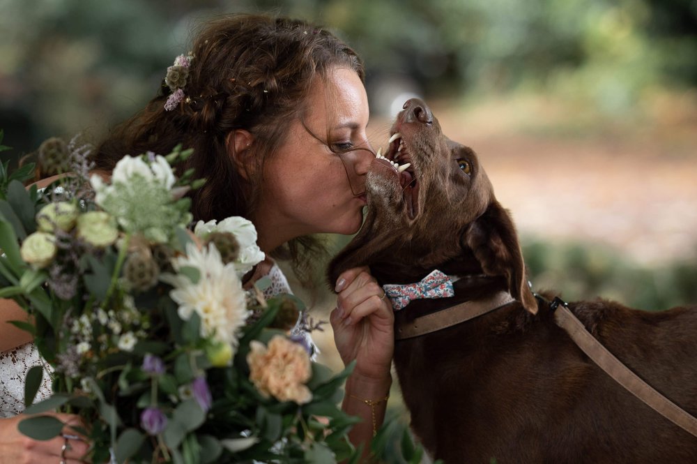 mariée avec son chien 