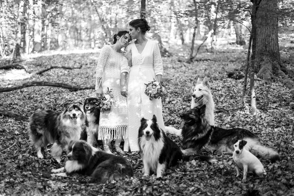 Chien-mariage-chat-photographe-dog-cat-wedding-photographer-36.jpg