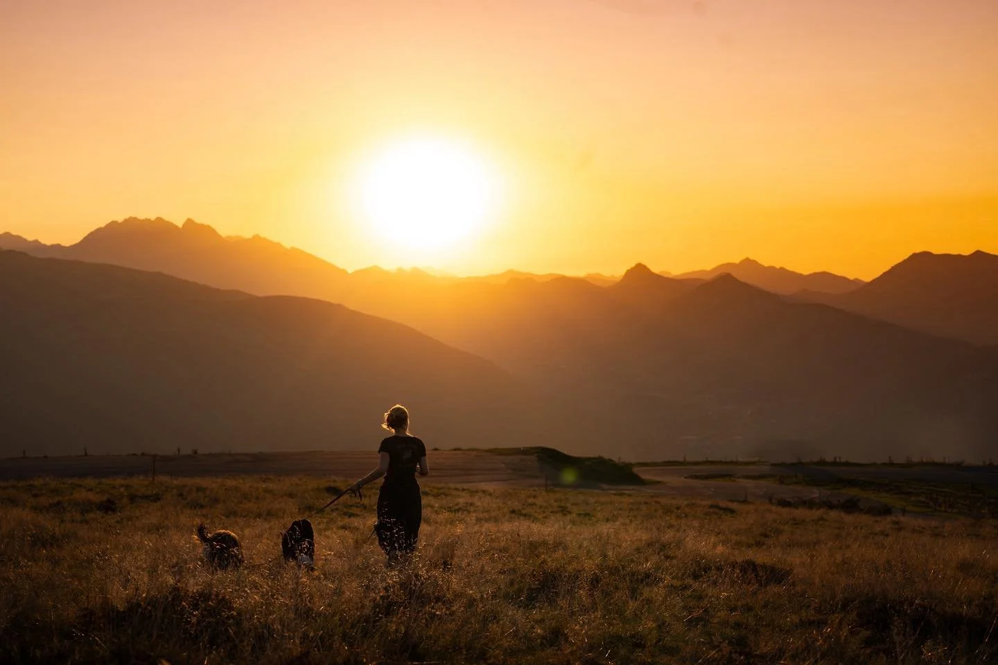 LIFE

Le chemin continue&hellip;
Belle ann&eacute;e &agrave; vous et merci pour votre confiance en 2025. 🌿