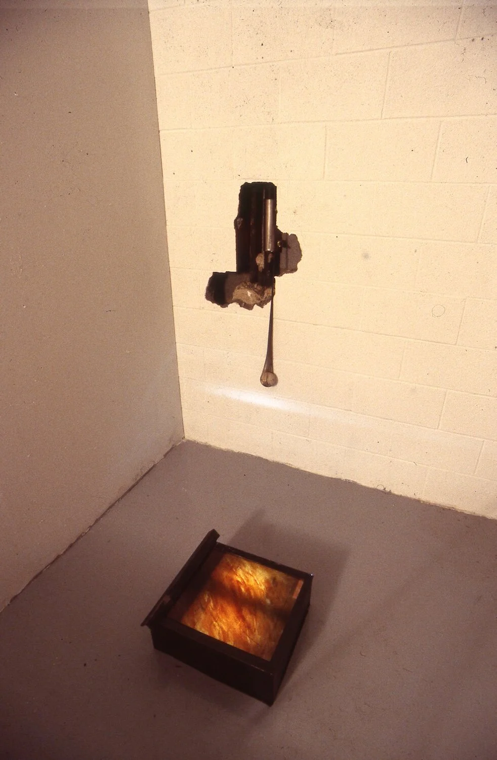 Web Within Walls resized hole in wall.jpg