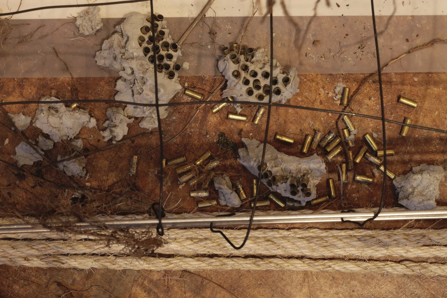 Web resized scattered bullet detail.jpg