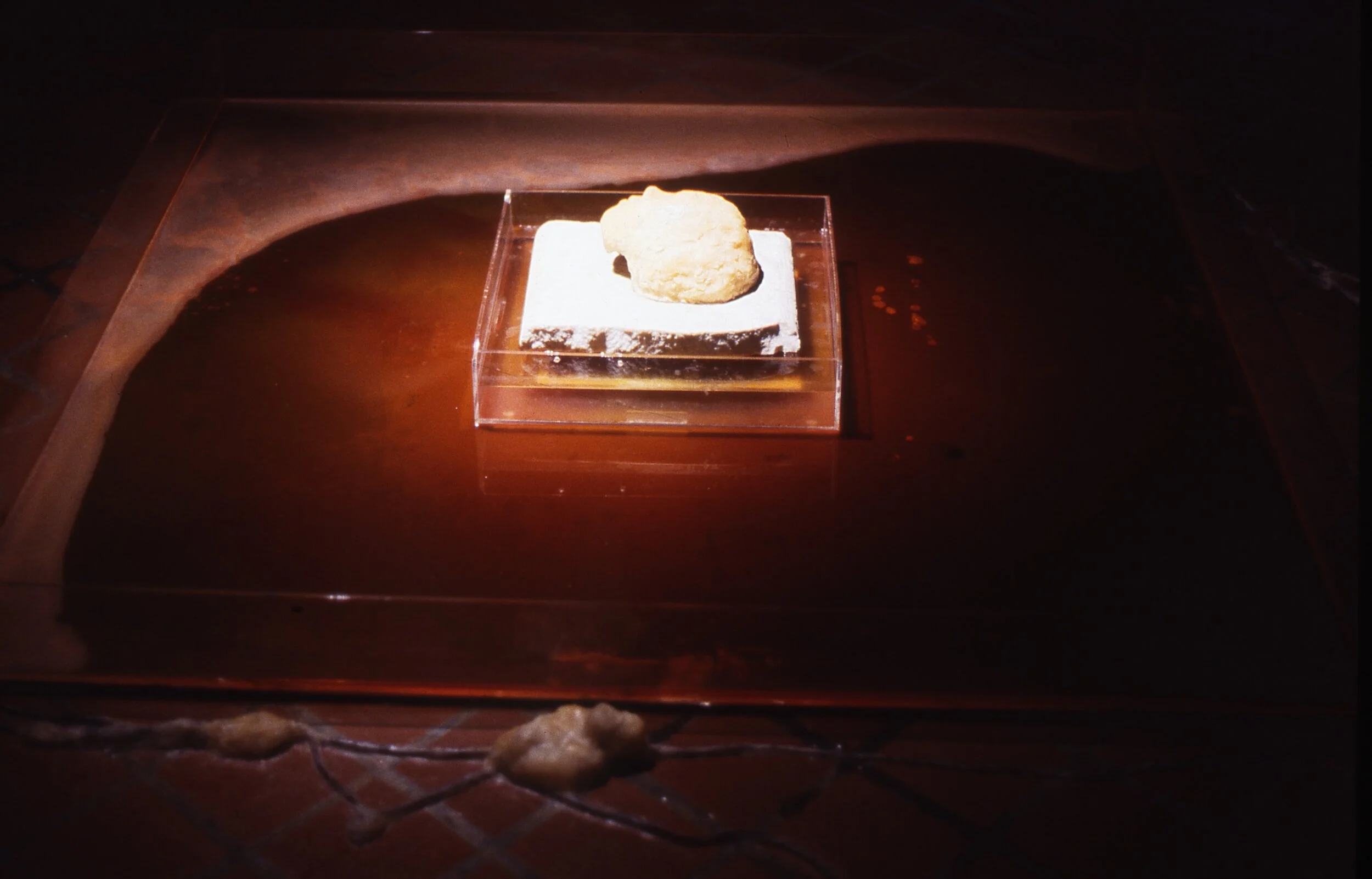 Web revised Connecting Pools head pool.jpg