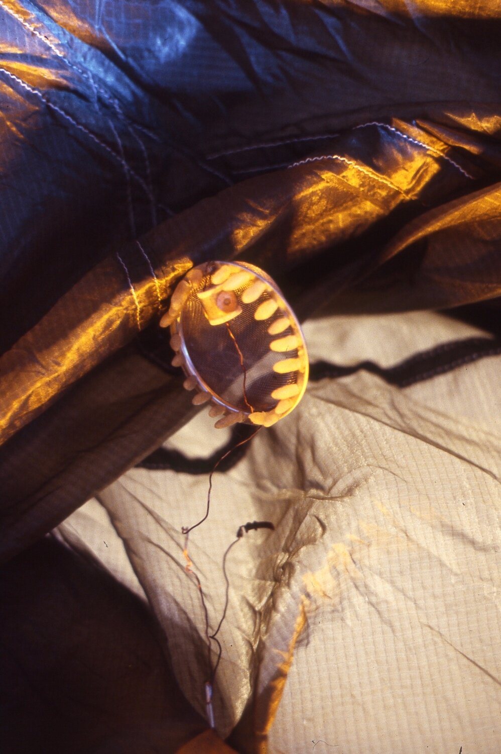 Web revised Petit Cosmology interior object.jpg