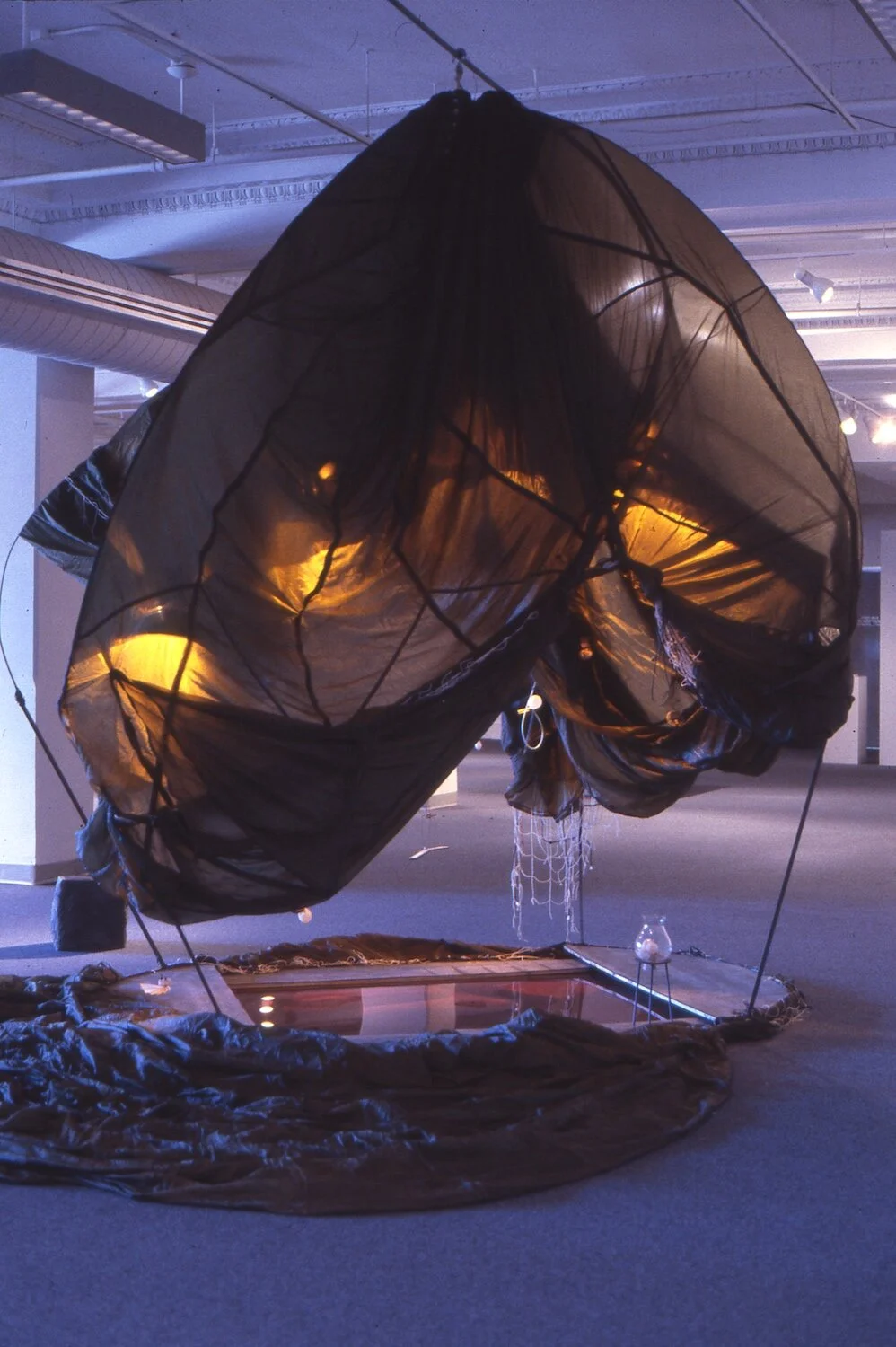 Web revised Petit Cosmology, exterior parachute copy.jpg