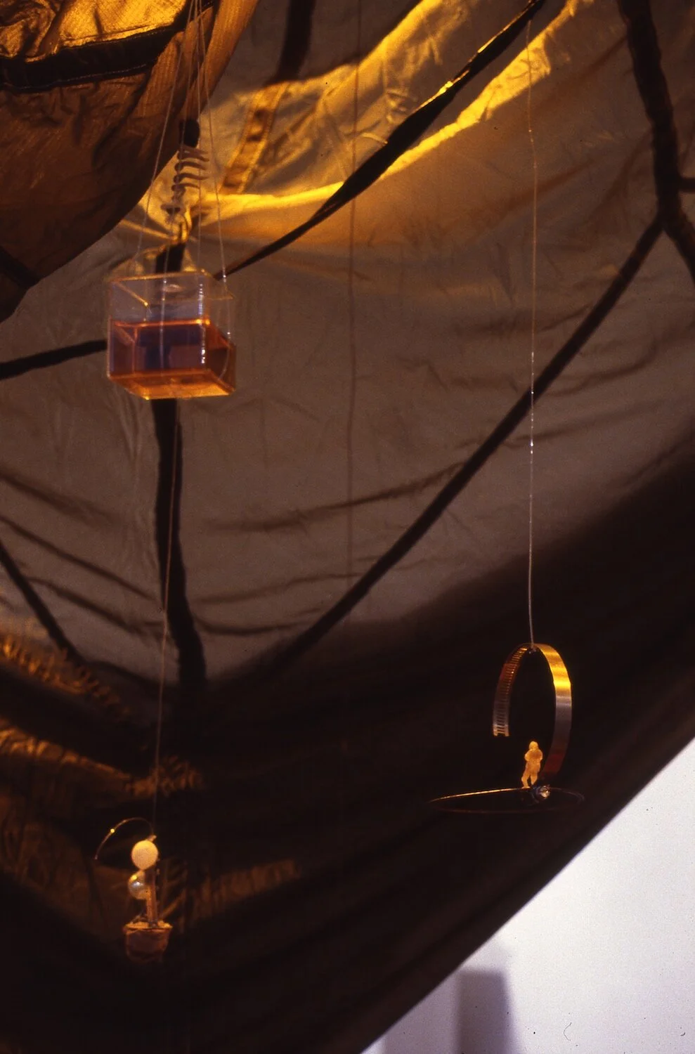 Web revised Petit Cosmology inside detail copy.jpg