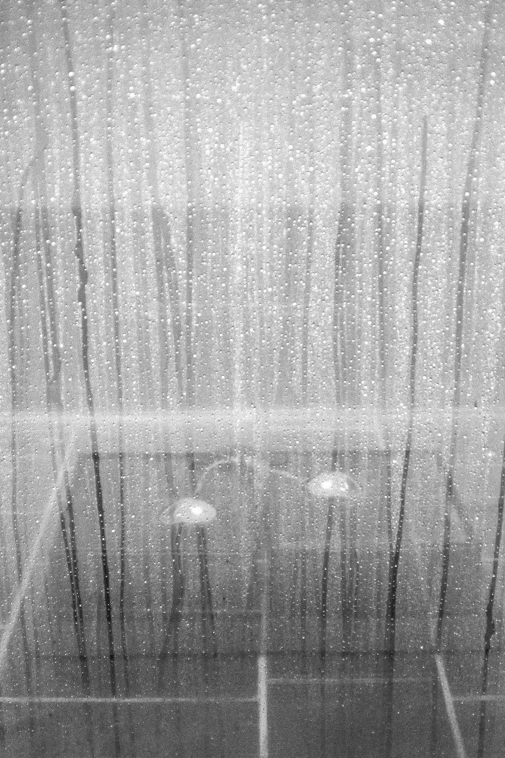 Web rvised Zygosity humidifiers.jpg