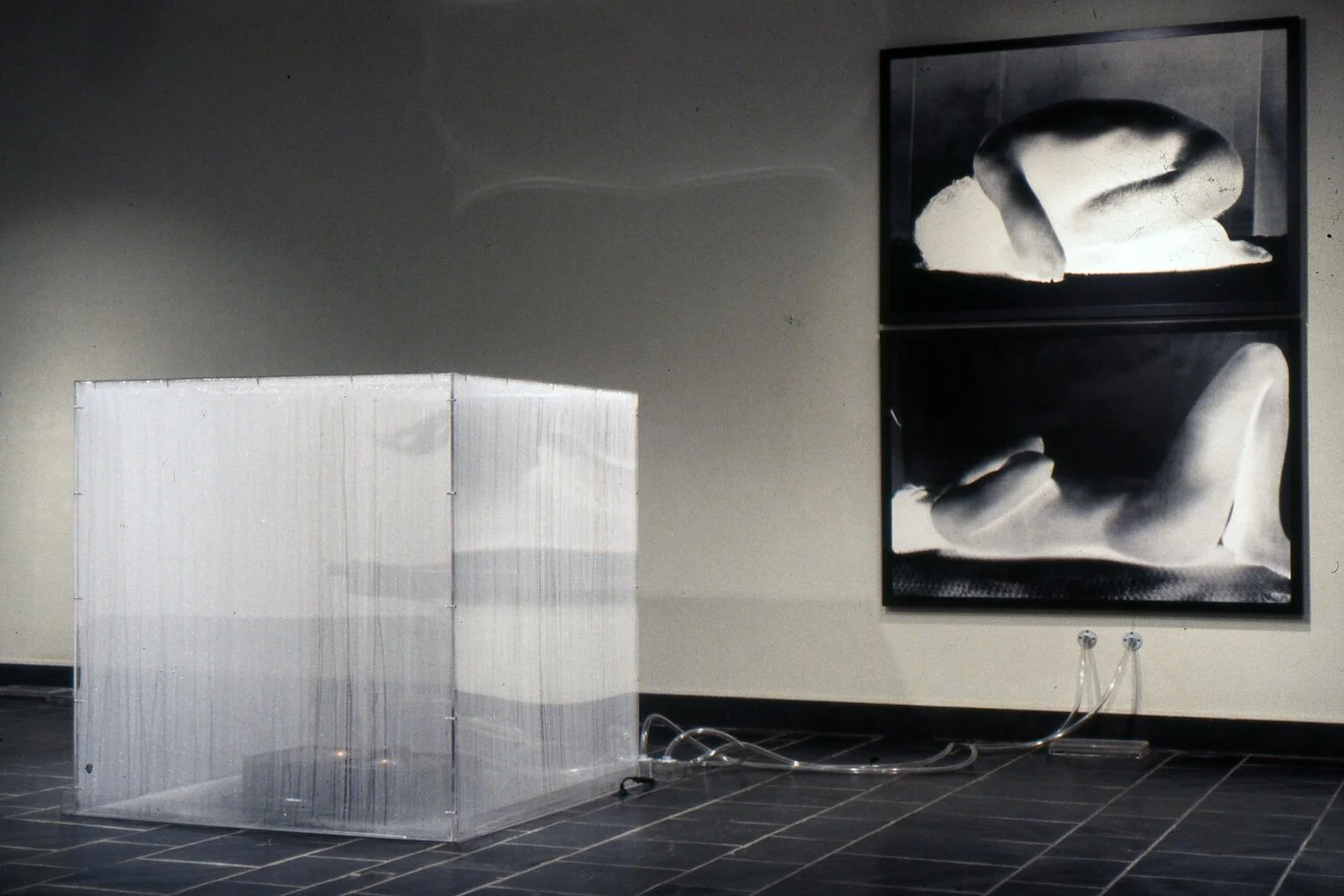 Web revised Zygosity overview.jpg