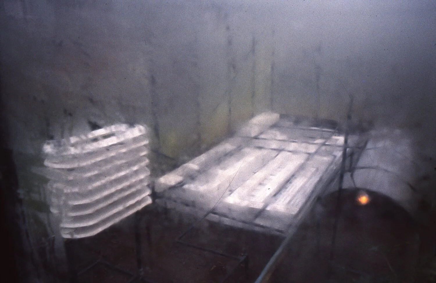 Web revised Heusden Greenhouse, fog view copy 2.jpg