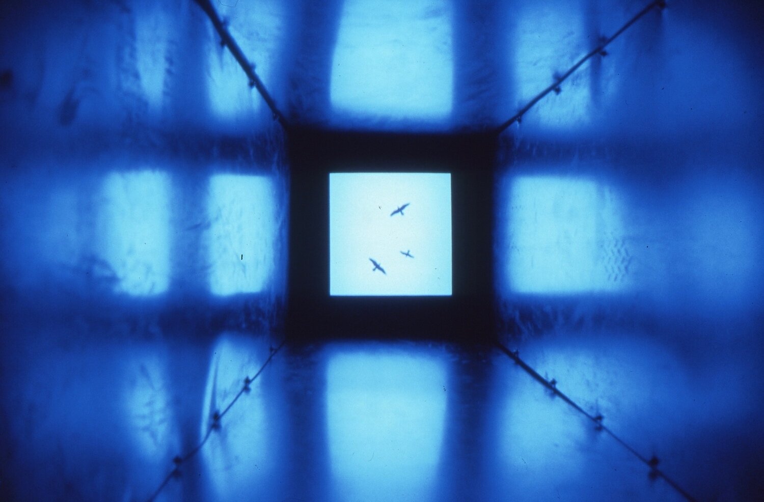 Web revised  Sky Shaft crows copy 2.jpg