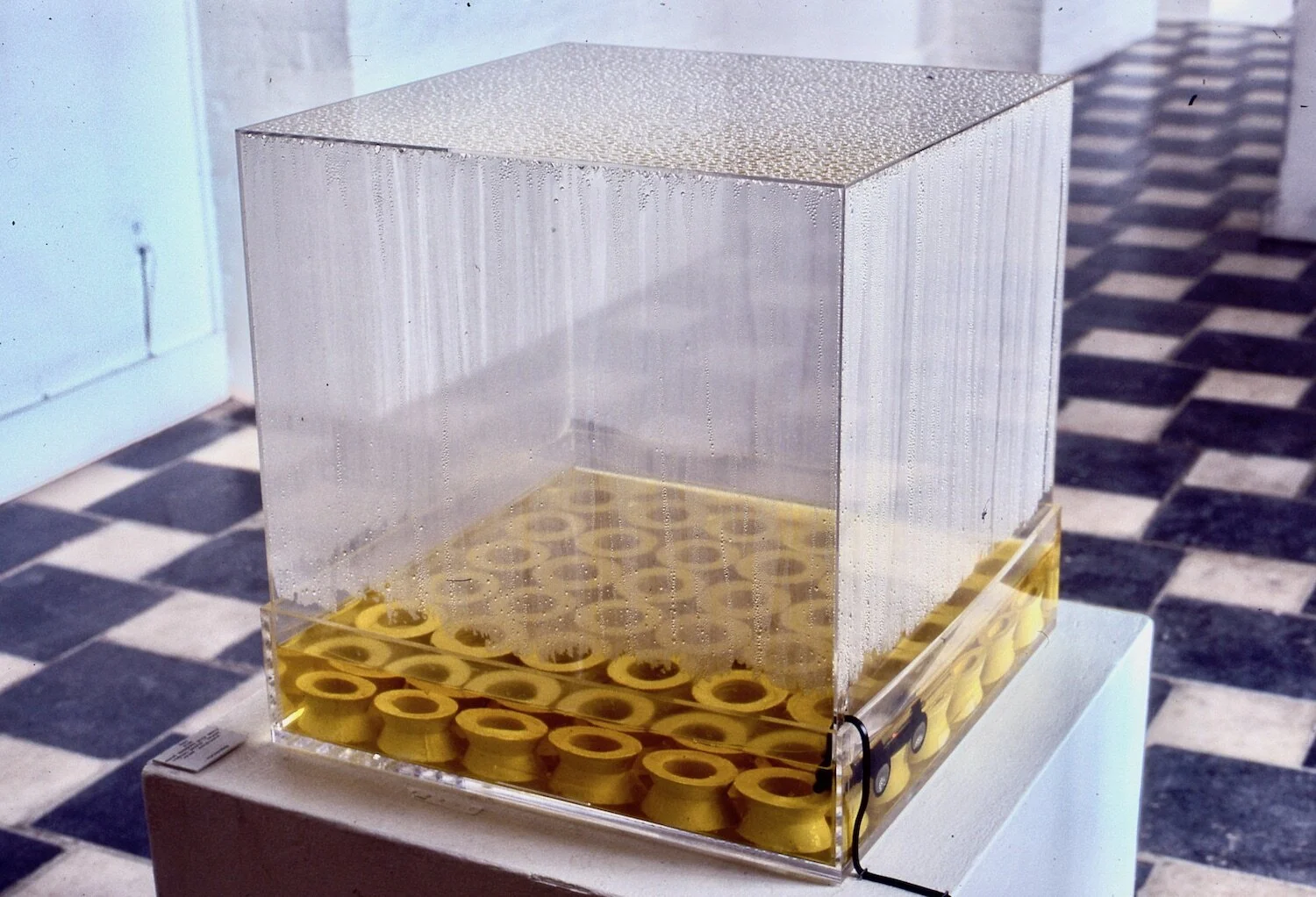 Web revised Cells.jpg