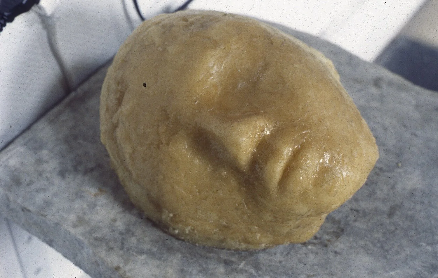 Web revised Hemispheres Divided, detail copy.jpg