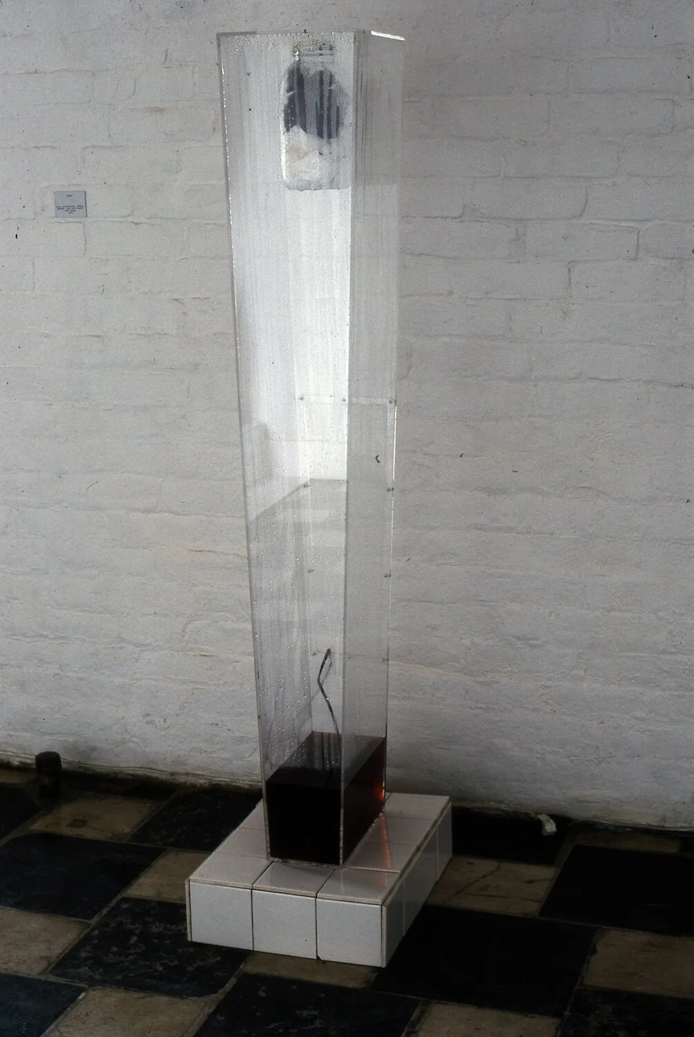 Web revised Roses and Guaze, 1994 copy.jpg