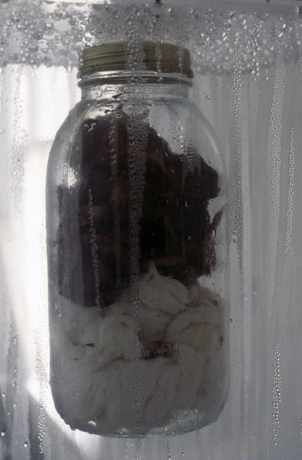 Web revised Roses and Guaze, detail copy.jpg