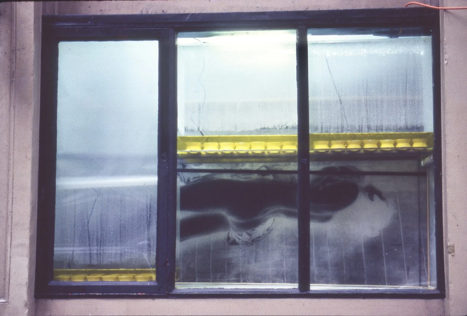 Web revised 2 Weight & Levitation photo.jpg