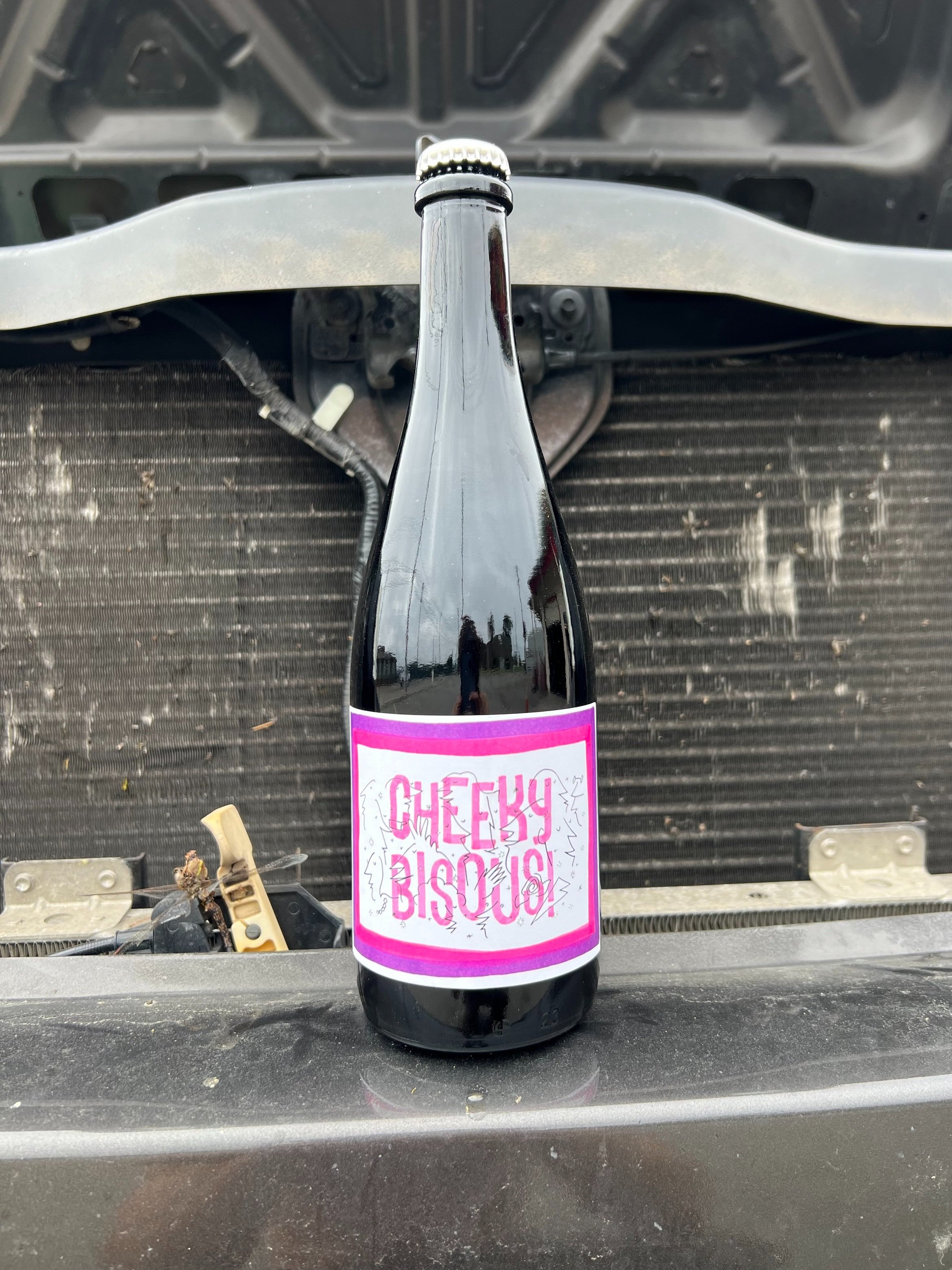 cheeky bisous organic natural regenerative merlot sav blanc red wine