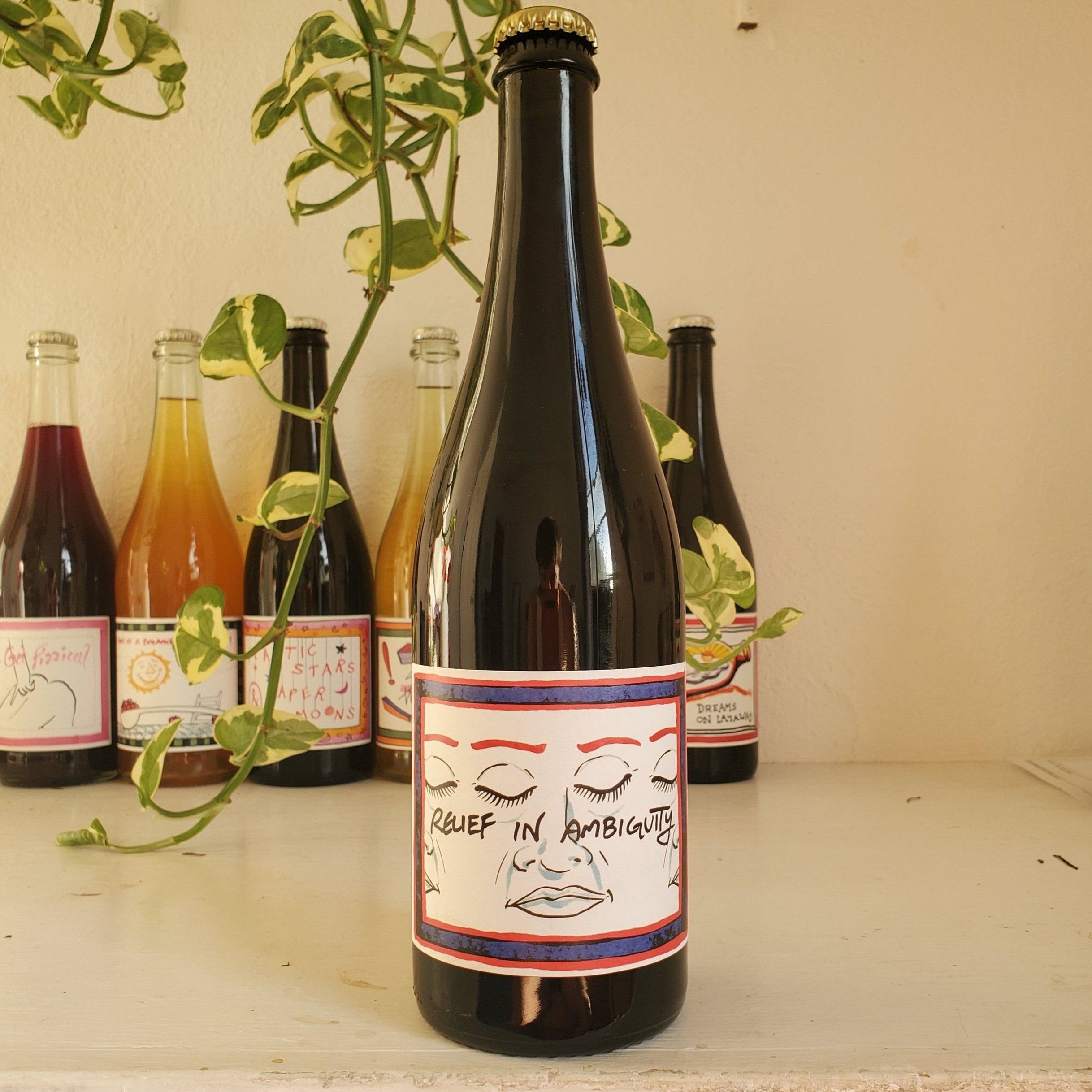 2021 Relief in Ambiguity Santa Cruz Mountains organic and natural regenerative Pinot Noir red wine