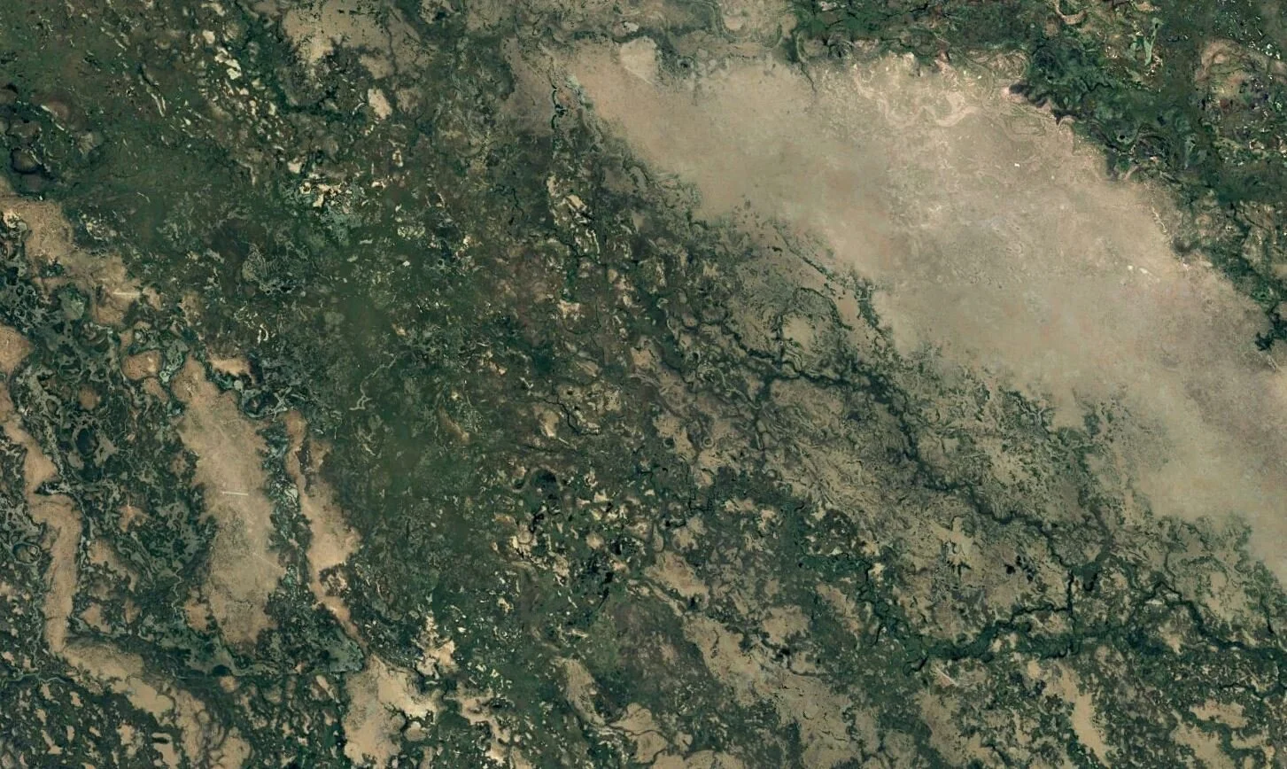 New Project: Trends.Earth collaboration with GEO and Google