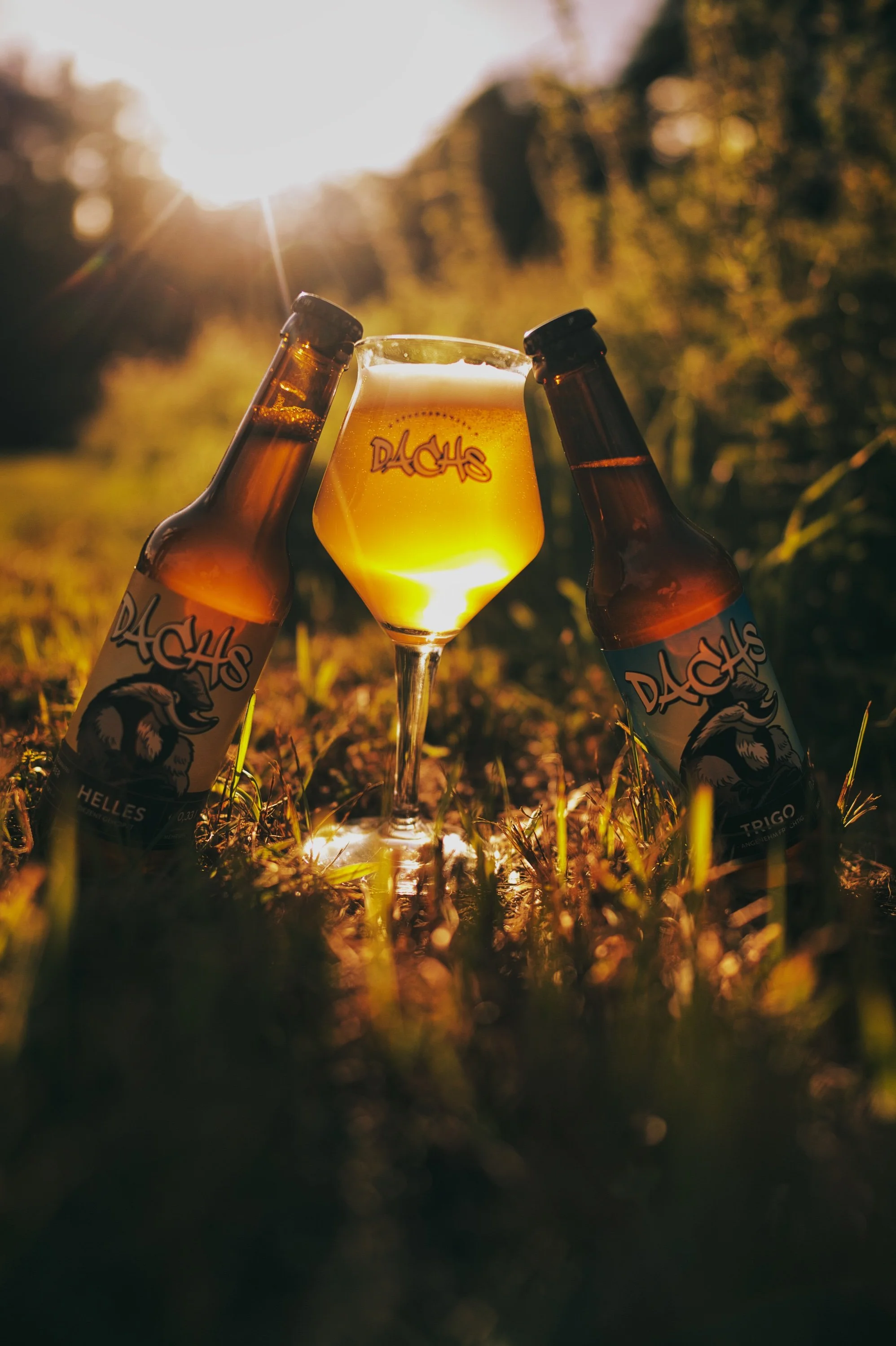 Biertasting mit Dachs Bier